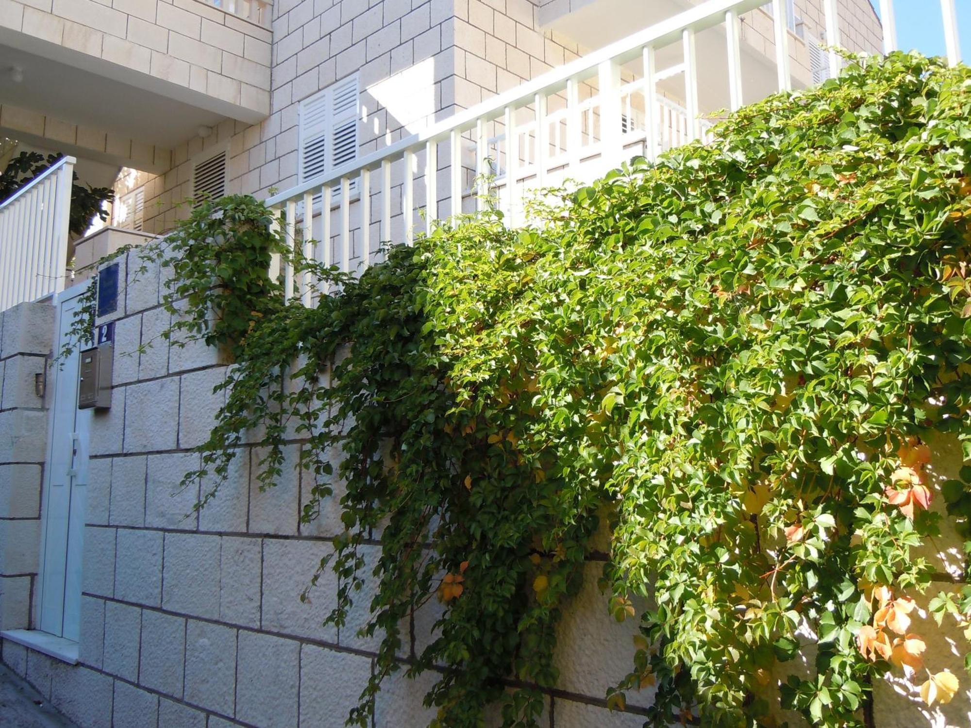 Central Apartment Dubrovnik Apartamento