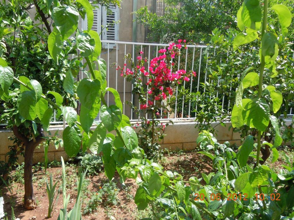 Apartamento Central Apartment Dubrovnik *