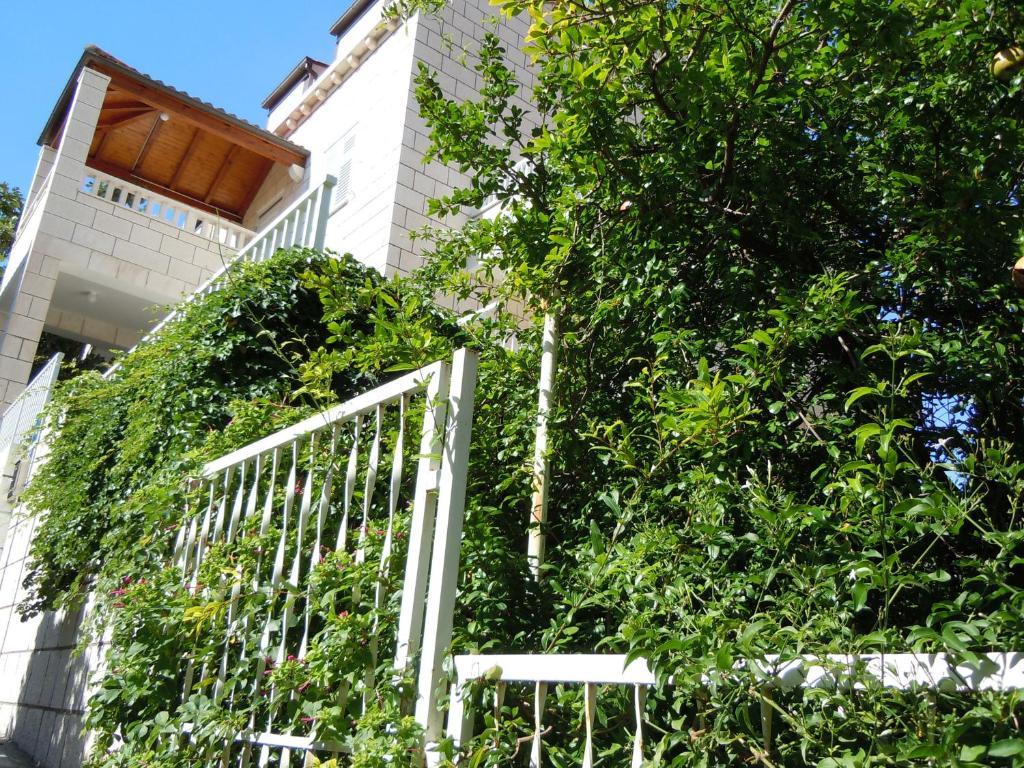 Central Apartment Dubrovnik Apartamento